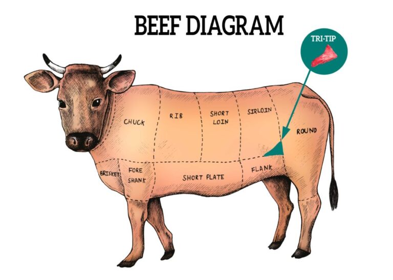 Where Is the Tri Tip on a Cow: Navigating the Beef Anatomy